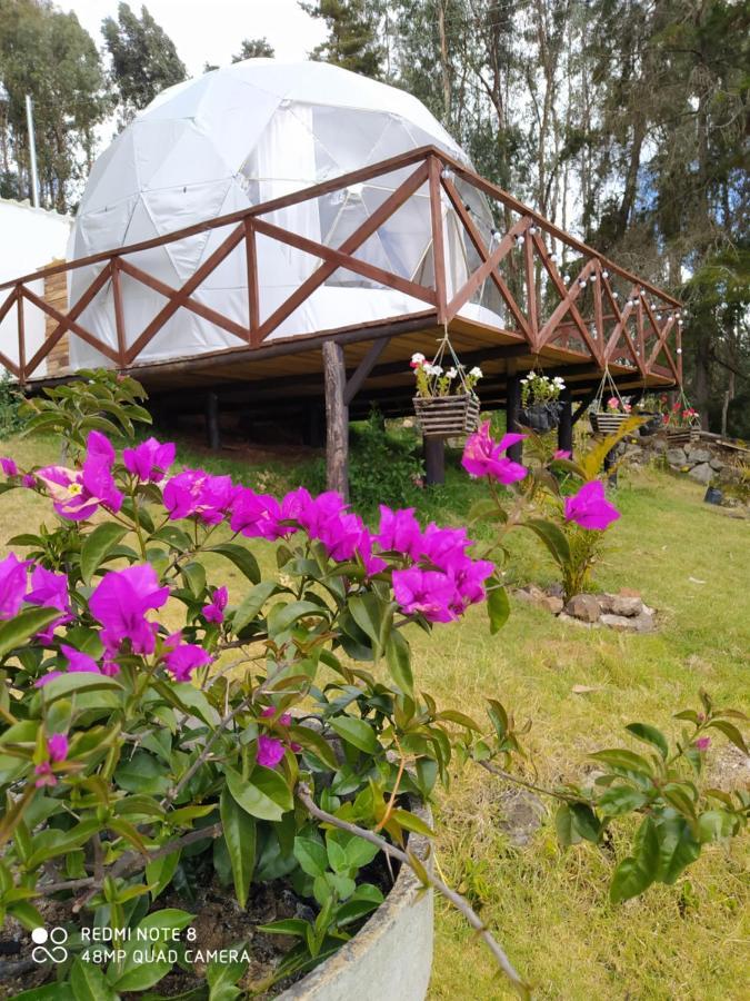 Glamping Chinu Luxury tent Guatavita