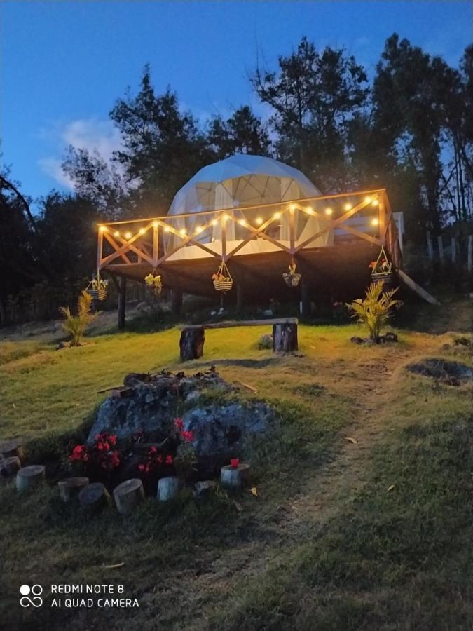 Luxury tent Glamping Chinu