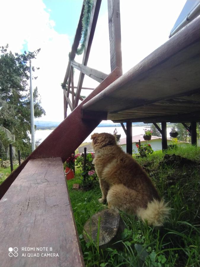 Glamping Chinu Guatavita